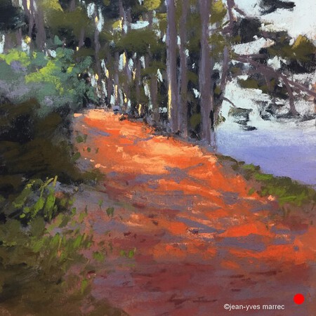 "Soleil dans les pins" pastel sec 22x22 cm   VENDU