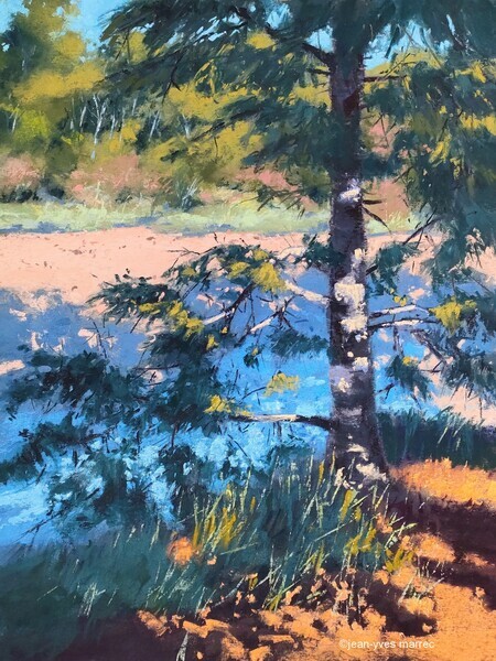 "Le chemin sous les pins à Doëlan" pastel sec 34x44 cm(encadré 50x60 cm) Disponible à mon atelier
