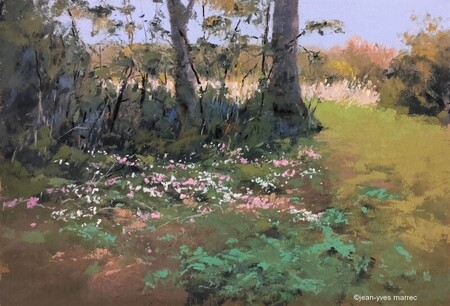 "Beaux cyclamens sauvages" pastel sec 31x21 cm (44x34 cm encadré) Disponible à  la galerie La Corne au Fer
